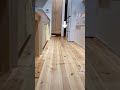 【#Shorts】🐈隠れてたら見つかった。200万再生御礼