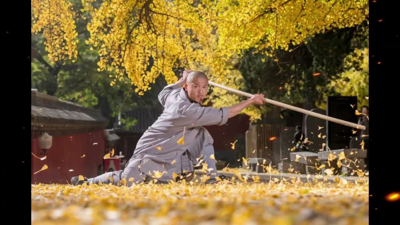 Chinese Martial Arts Analysis: Shaolin Sticks in Once Upon a Time in China II2 
