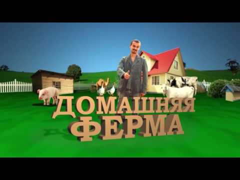 Домашняя ферма. Сурки