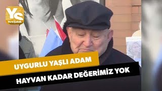 Uygurlu yaşlı adam: Hayvan kadar değerimiz yok