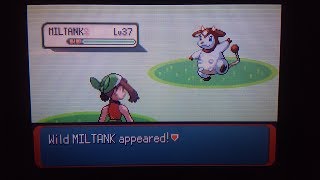 Safari Week 2019 #7 Shiny Miltank in Emerald Safari Zone! [Win or Fail?]