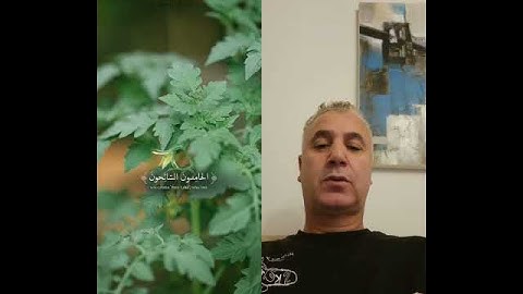 أصوات من السماء ، قرآن كريم #قراءات