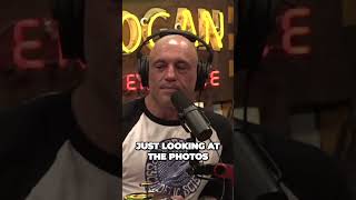 The Fascinating Art Of Converting Data Into Stunning Images