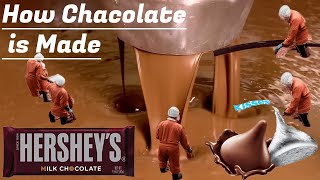 How is CHOCOLATE🍫 Made? How more THEN 200 Thousand CHOCOLATE 🍫BARS are Made Everyday
