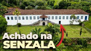 Esse ANTES e DEPOIS vai te impressionar | FAZENDA CONFIANÇA