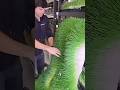 Hydroponic Barley Fodder – The Futuristic Animal Feed That Grows in 7 Days 🐄🌱