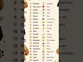 vocabulary for daily use