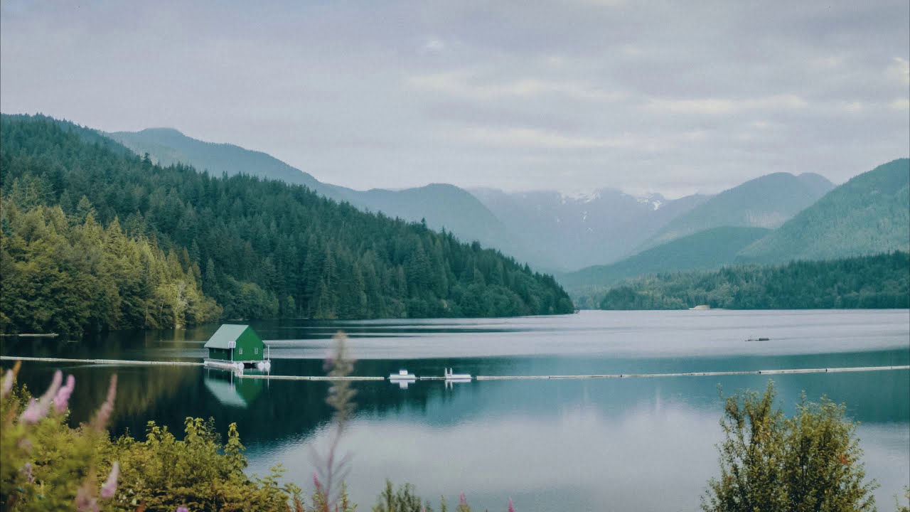 ⁣A Piece of Calm | Beautiful Chill Mix