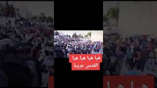 حالياً من قلب باحة المسجد الأقصى