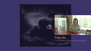 Inline Description Or Extended Description?