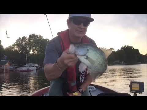 High Rock Lake Crappie Fishing At It’s Best June 21St - YouTube