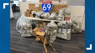 Over 200 pounds of marijuana, THC products sniffed out by K-9, seized after Fishers drug investigati