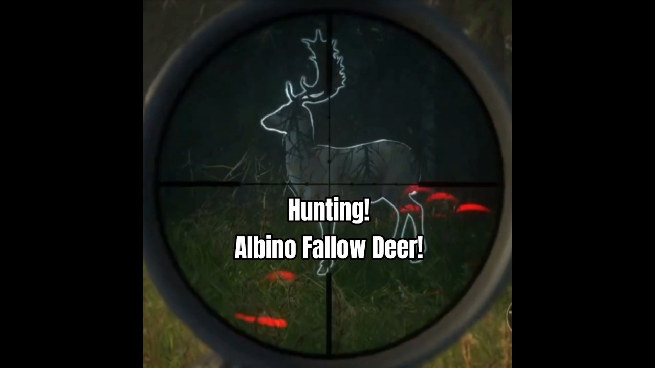 Hunting Albino Fallow Deer / TheHunter Call Of The Wild 