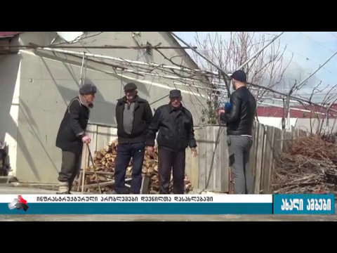 კარალეთის დევნილთა ჩასახლებაში პრობლემების მოგვარებას ითხოვენ 10.05.2017
