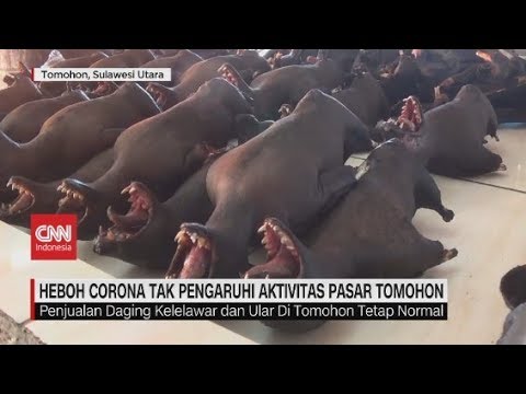 Video: Coronavirus: Membakar Kelelawar Karena Takut Ditangkap