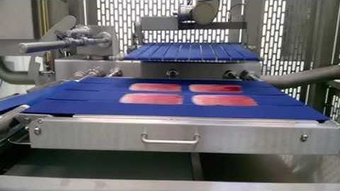 ELCAT Cold Cuts Robot-Assisted Loader CAER1