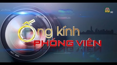 Chó thả rông, nhiều nguy cơ tiềm ẩn!