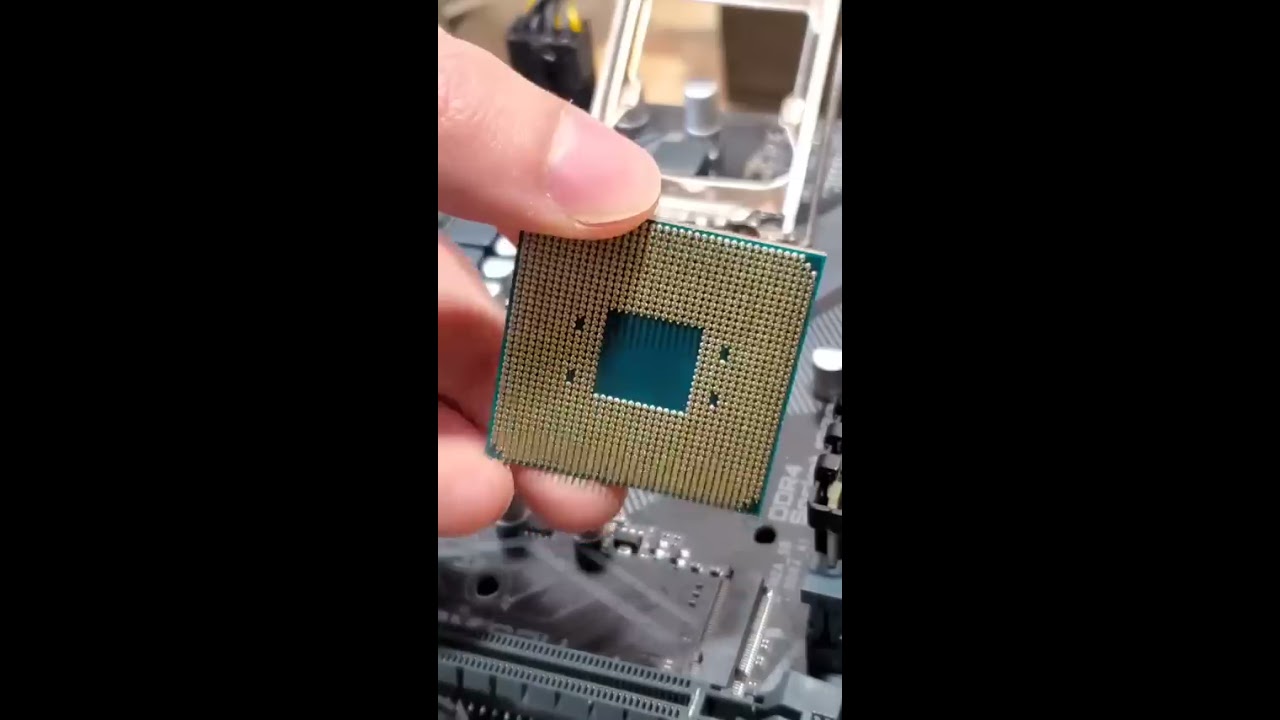 Улучшение игр и многое другое: выбирайте процессоры Intel или AMD с ...
