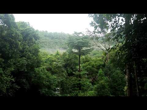 relaxing at chestnuts hill resort. songkhla, thailand