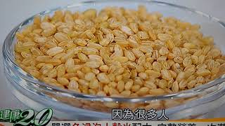 十穀米的配方比例 