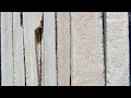 SLATE PENCIL +SLATE CHIPS+ SLATE BAR CLEANING VIDEO || WET CLEANING || SOFT CLEANING || Neha Ahire