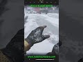 Arena Breakout: Infinite Cheat S5 | BEST Arena Breakout Cheats [Menu] | Loot Esp Cheat [2026]