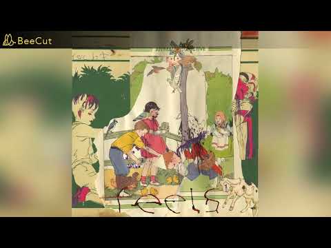 SubEspañol/Lyrics _Animal Collective:Turn Into Something [INDIE]