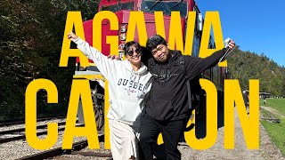 Agawa Canyon Train Tour