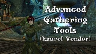 Guild Wars 2 - Advanced Gathering Tools! (Laurel Vendor)