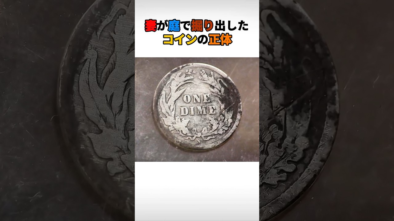 妻が庭で掘り出したコインの正体