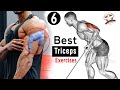 6 Easy to Build TRICEPS Exercises Workout