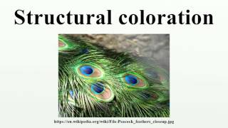 Structural coloration