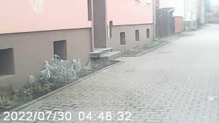 MOVI3813