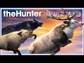 My TOP 10 Favorite RARES Since STARTING My Channel!! | theHunter Call of the Wild