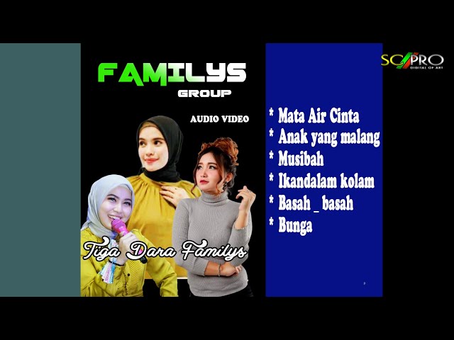 TIGA DARA FAMILYS ( SELVY ANGGRAINI / YUSNIA ZEBRO / YUNITA ASMARA ) class=