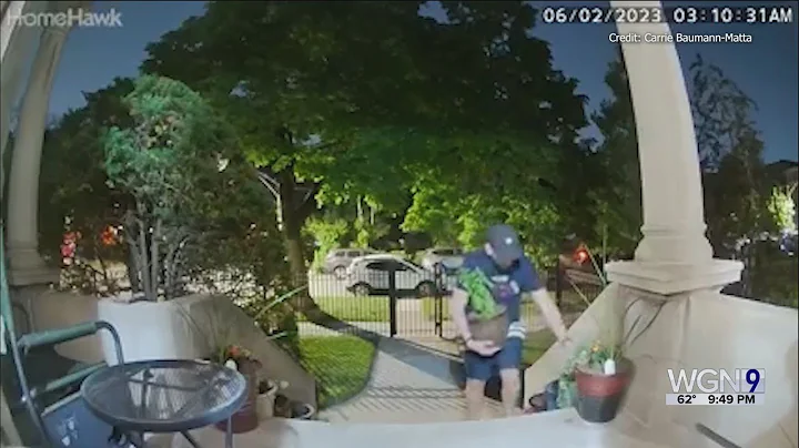 Thief caught on camera stealing plants from porch of Ravenswood home