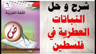 حل اسئلة و شرح وحدة النباتات العطرية في فلسطين كتاب اللغة العربية الصف السادس الفصل الثاني فلسطين