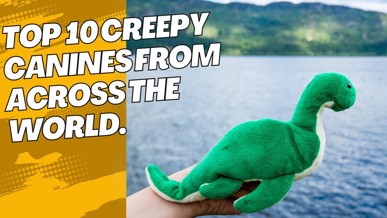 Did You Know...The Top 10 Creepy Canines from Across the World! 