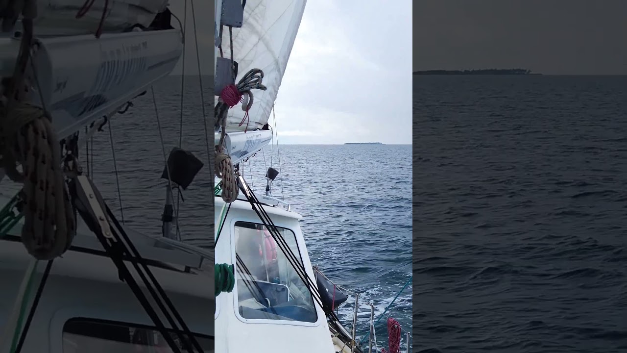 ⁣Sulawesi Sailing Vibes From Latest Episode