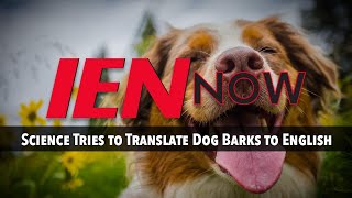 IEN NOW: Science Tries to Translate Dog Barks to English IEN NOW: Science Tries to Translate Dog Barks to English
