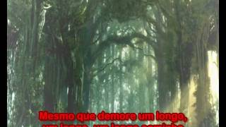Almah - When and Why  Legendado por Kleyver'Dash
