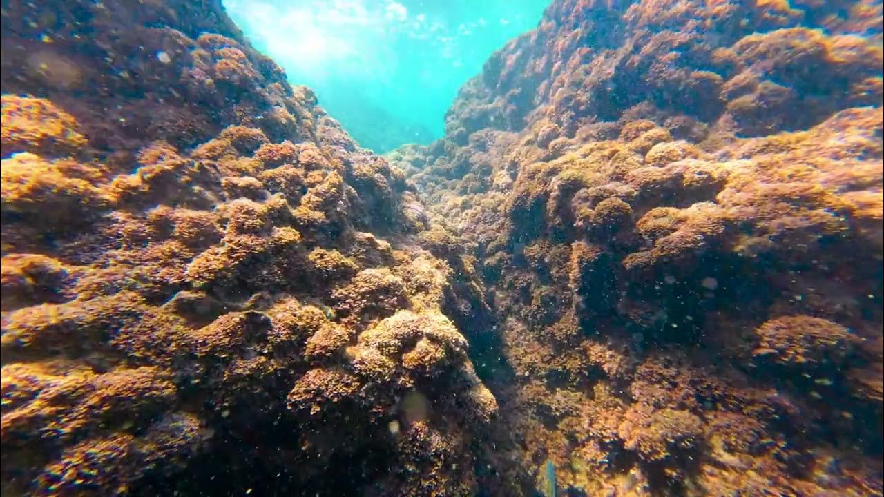 Fall Asleep With Relaxing UnderWater Sounds at Night, Ocean Sounds for