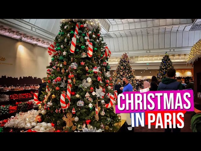 Le Bon Marche Department store, Christmas decoration, Paris