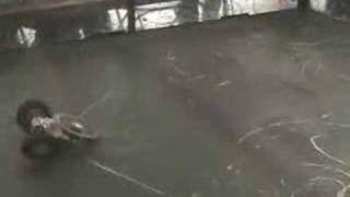 Poly-Stone vs Side Kick