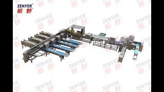Zenyer 109 egg grader egg grading machine with automatic packers 30,000 eggs/hour