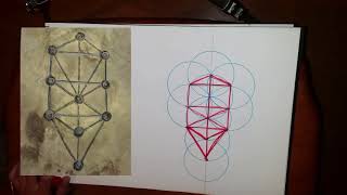The Tree of Life - 'Sacred' Geometry How to Draw