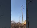 #slingshot #户外射击