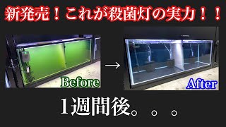 これが殺菌灯の実力！超オススメ！アズーから新発売の殺菌灯『UVステライザー24W』のご紹介