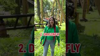 Download Lagu WELKE DUINRELL-ACHTBAAN 🎢 Kies jij? Falcon, Dragonfly of de 🐸-🎢 #shorts MP3 Download Lagu WELKE DUINRELL-ACHTBAAN 🎢 Kies jij? Falcon, Dragonfly of de 🐸-🎢 #shorts MP3