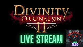 Divinity: Original SIn 2- CoOp With Druid